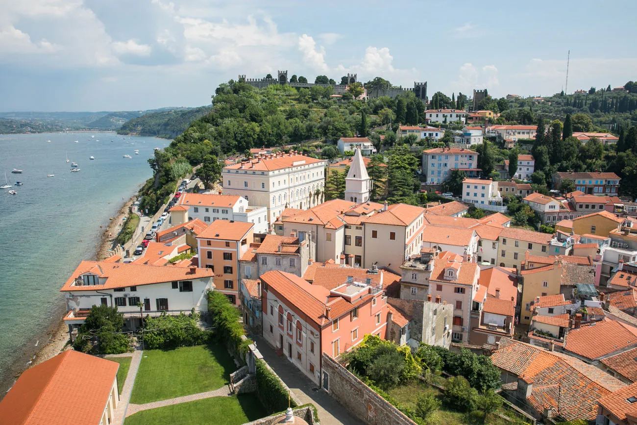 Bell Tower View