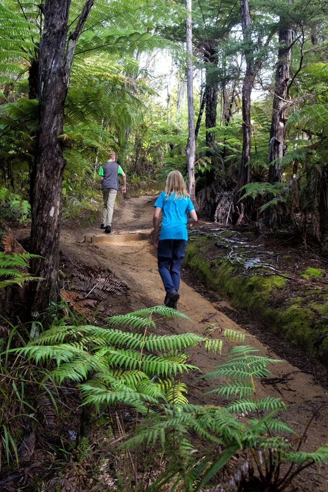 Abel Tasman with Kids