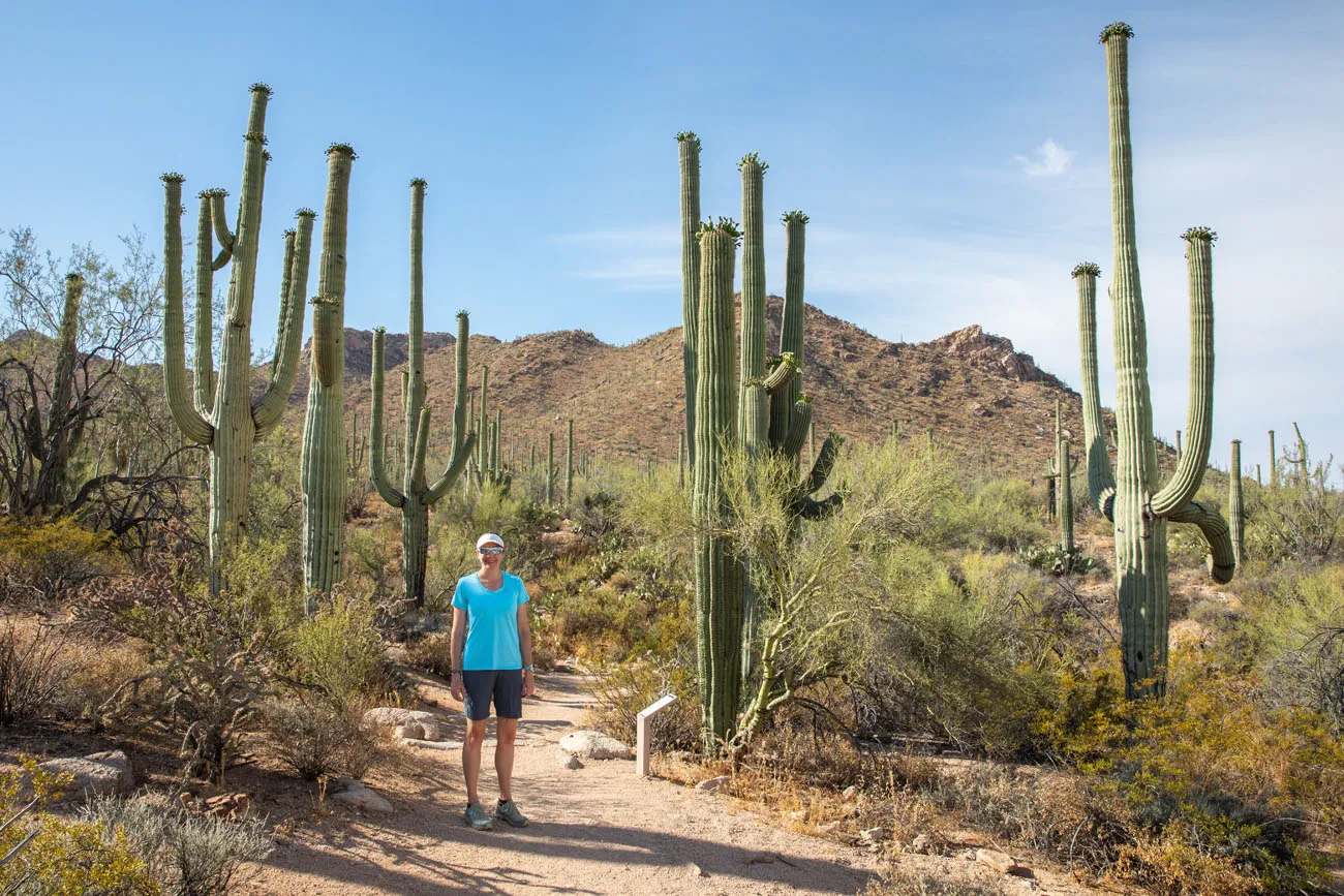 Julie in Saguaro