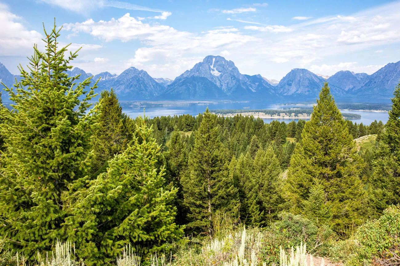 Jackson Lake Overlook | Best Things to Do in Grand Teton 