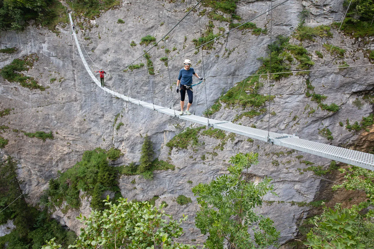 On the Suspension Bridge