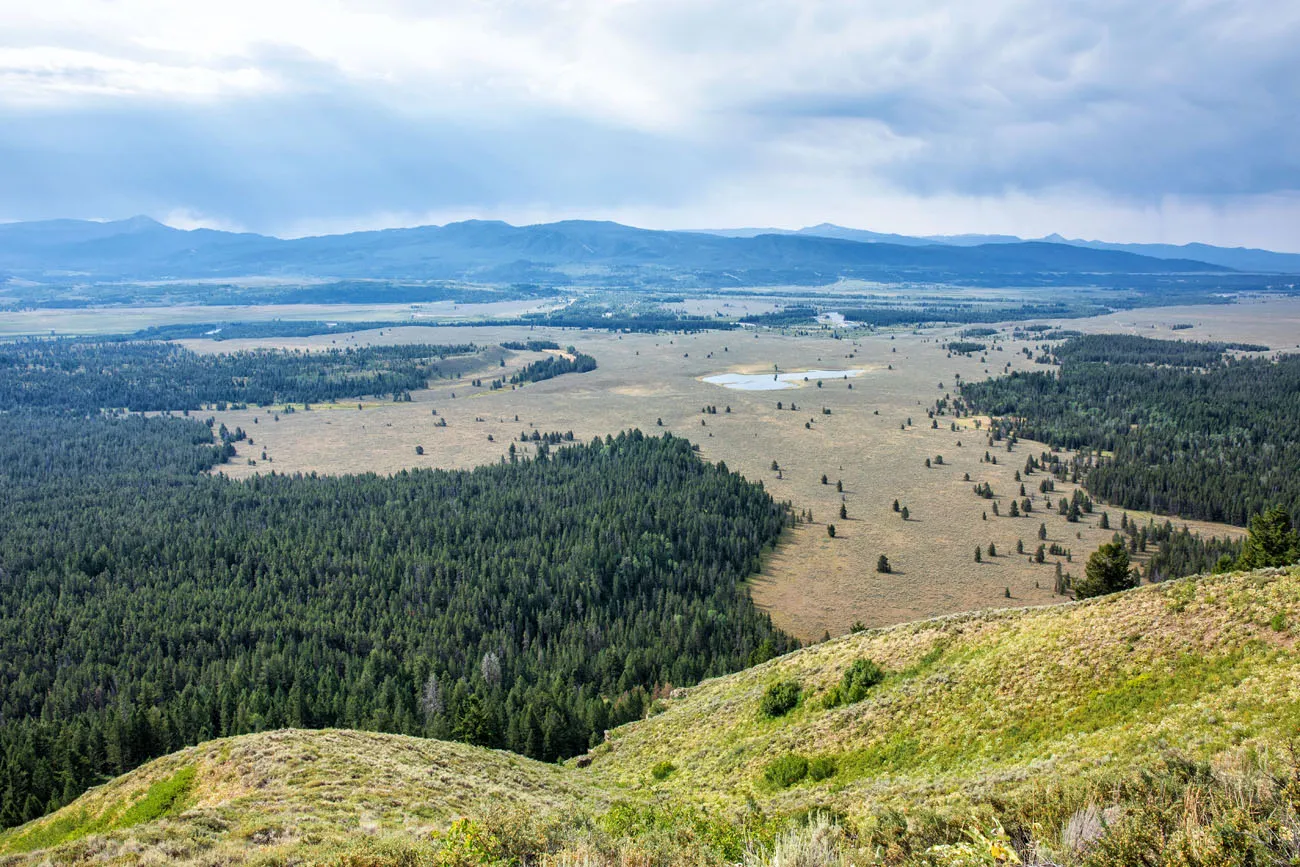 Signal Mountain | Best Things to Do in Grand Teton 