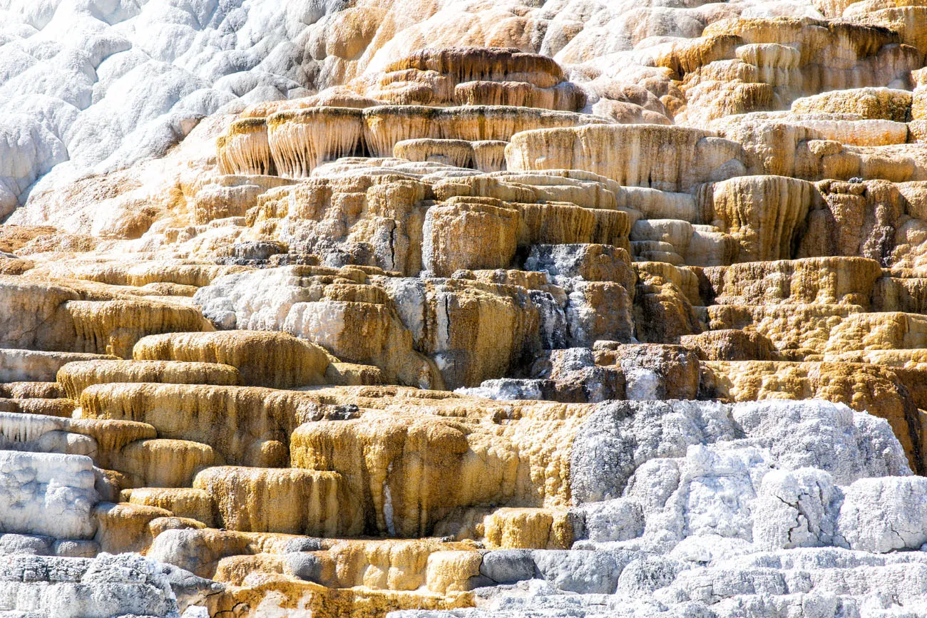 Mammoth Hot Springs Terraces