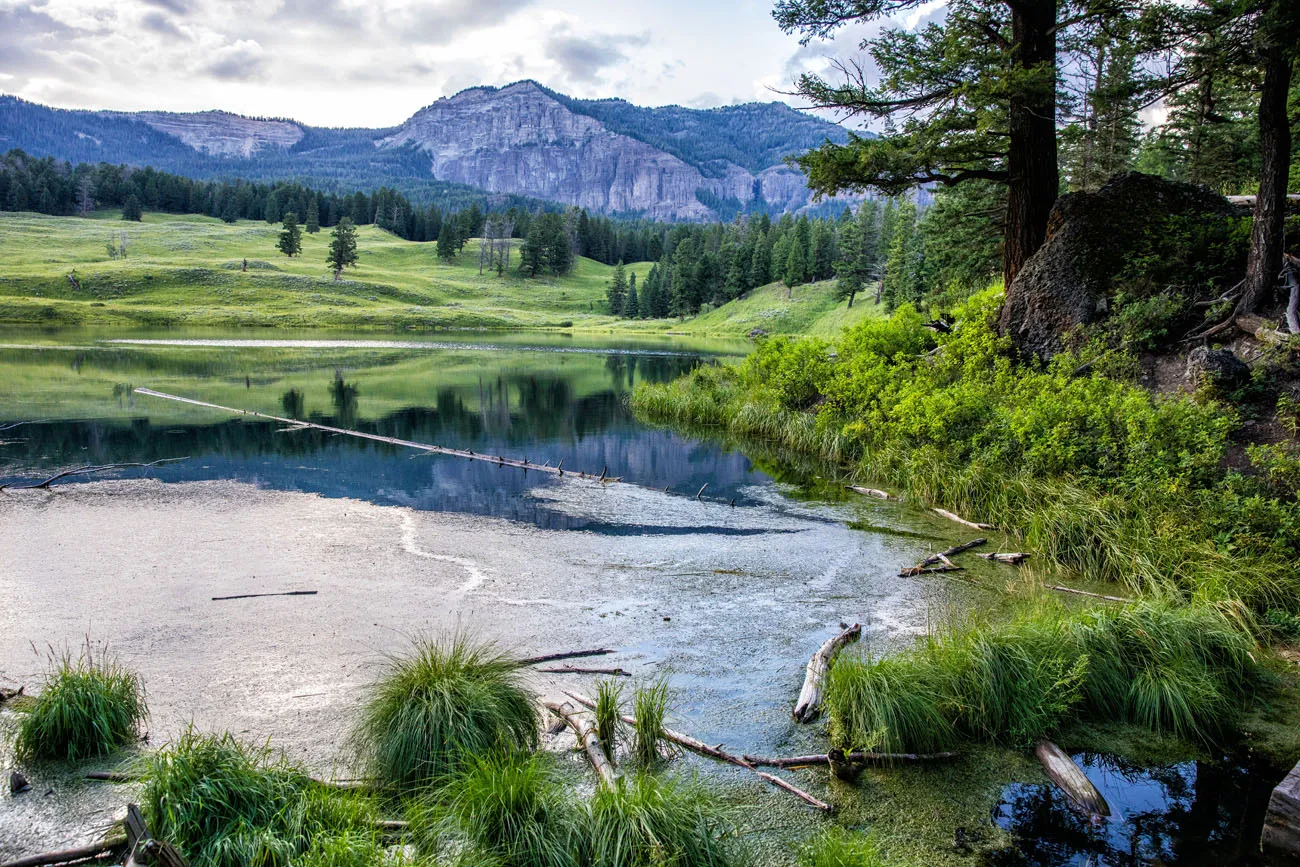 Trout Lake