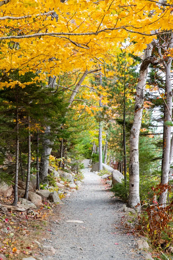 Acadia in October