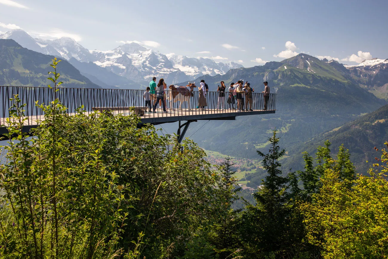 Harder Kulm Platform