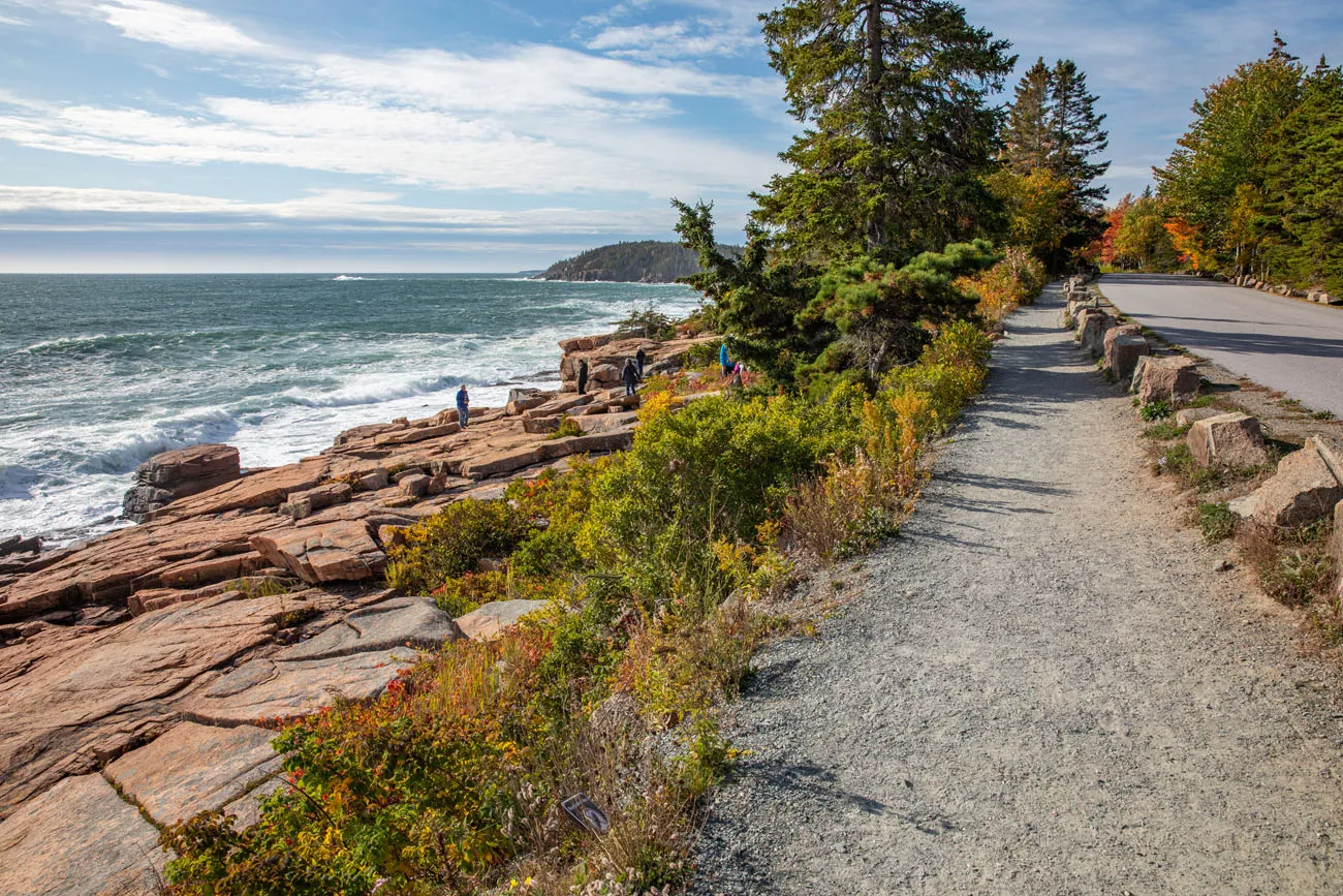 Ocean Path Acadia