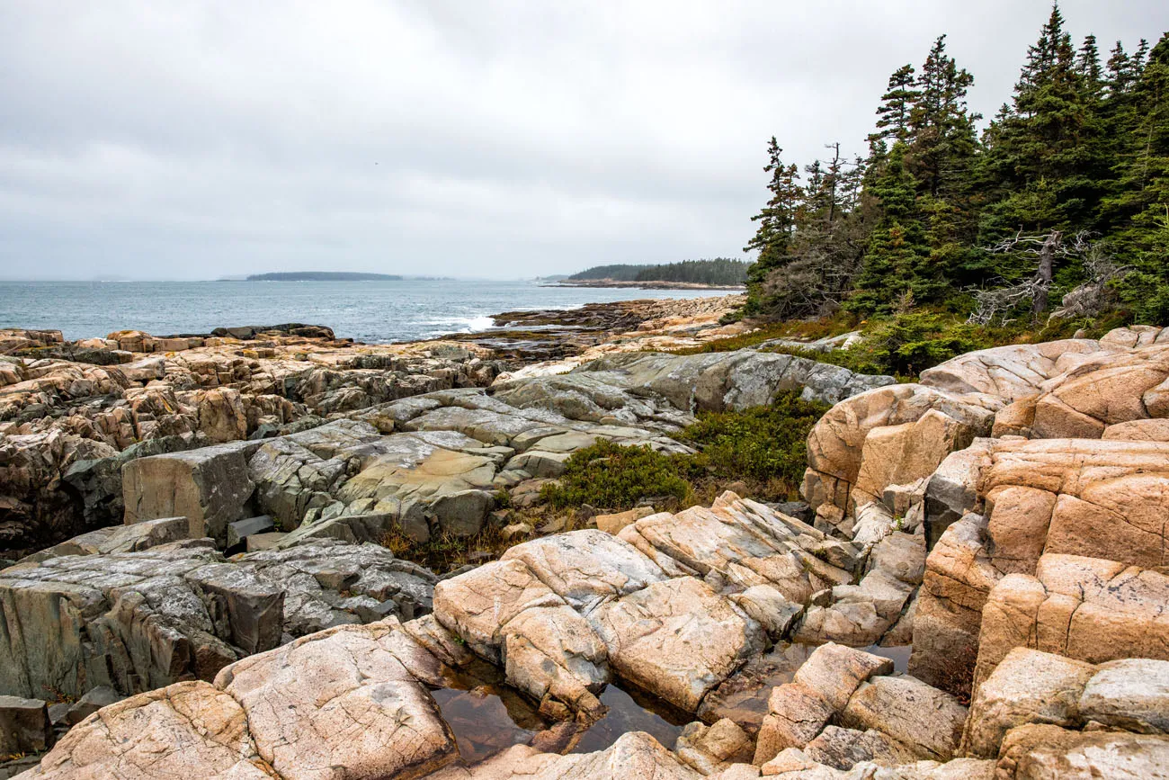 Schoodic Peninsula