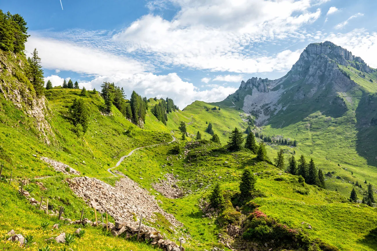 Schynige Platte Hike Jungfrau region