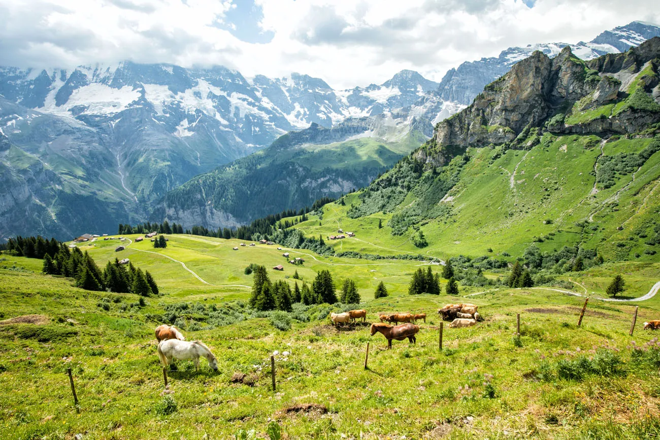 Jungfrau Switzerland