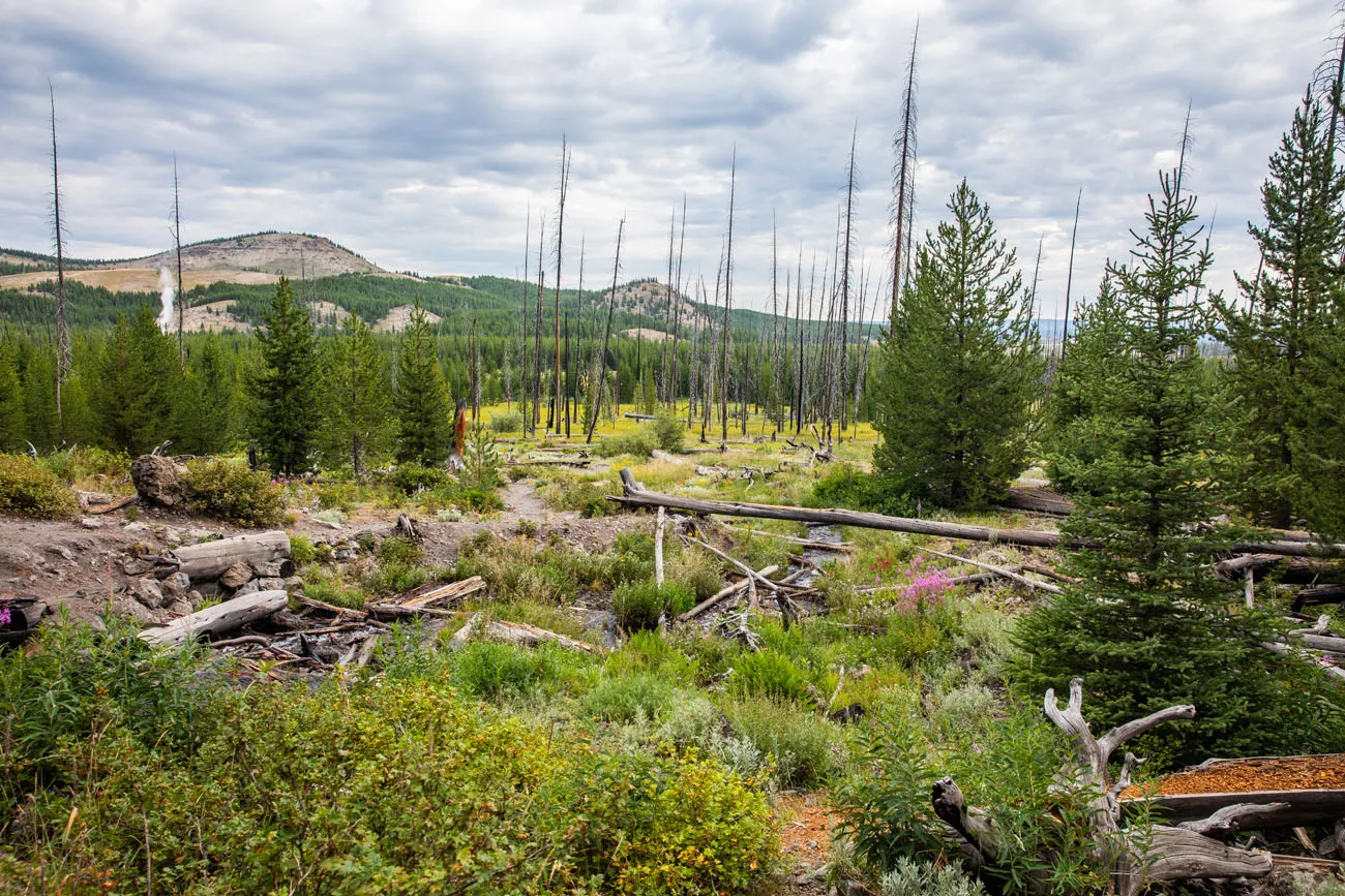 Near Fairy Falls