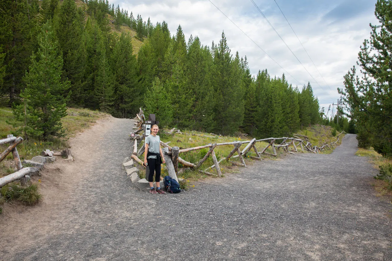 Trail to Grand Prismatic Spring Overlook