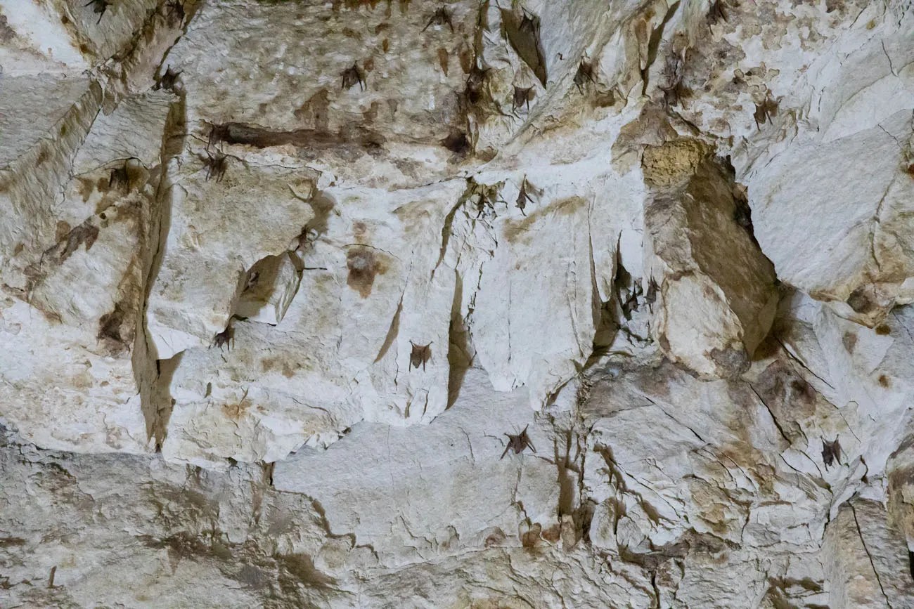 Bent Pyramid Bats