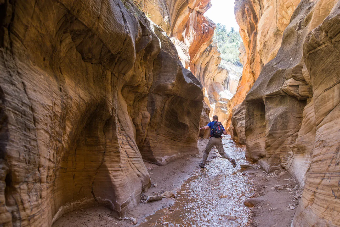 Willis Creek Grand Canyon road trip