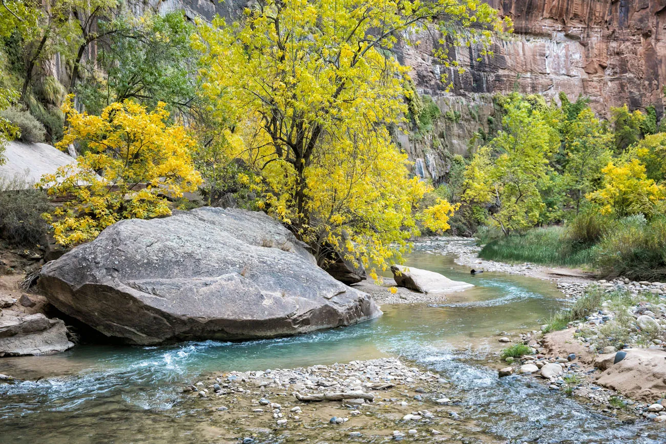 Zion National Park in Fall