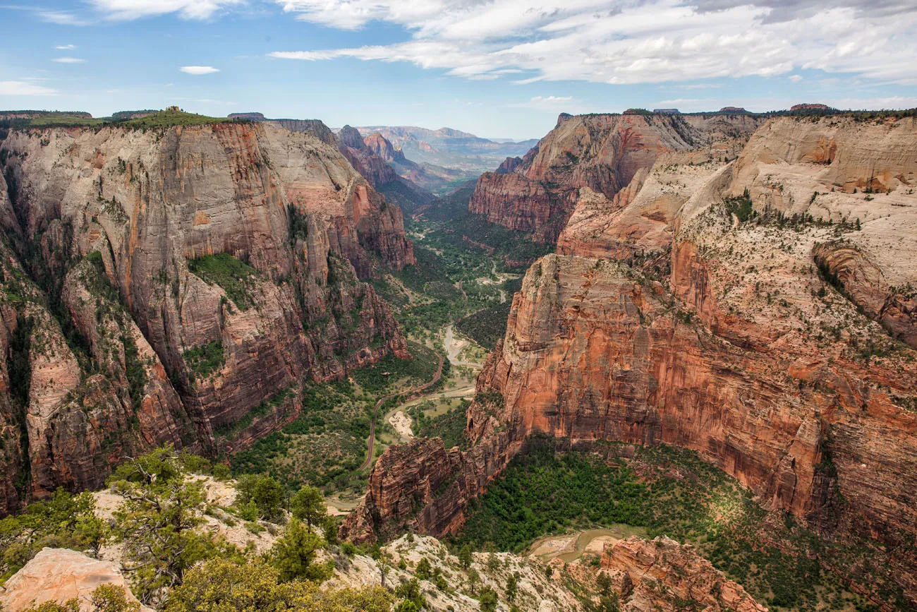 Zion Observation Point Grand Canyon road trip