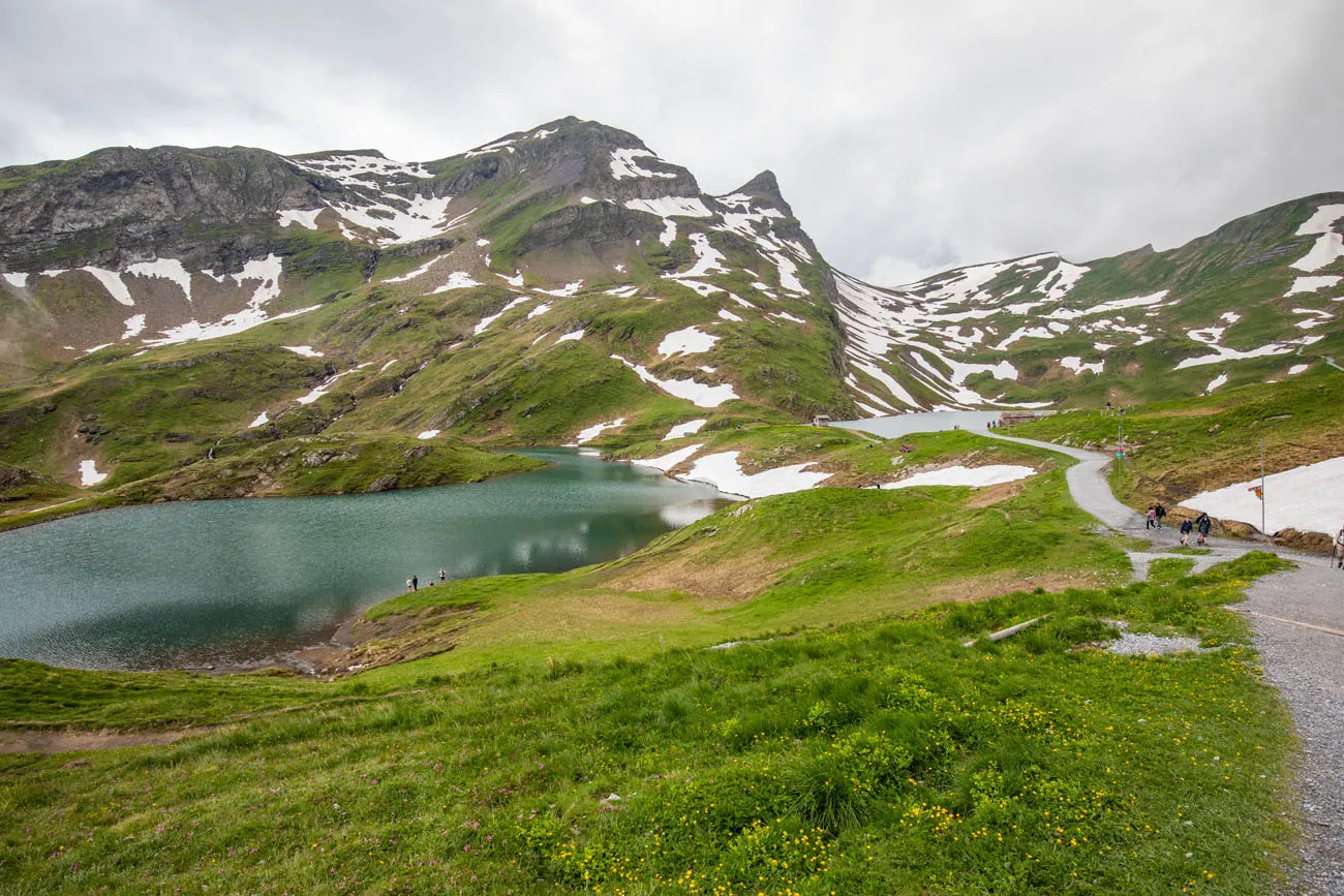 Bachalpsee Hike