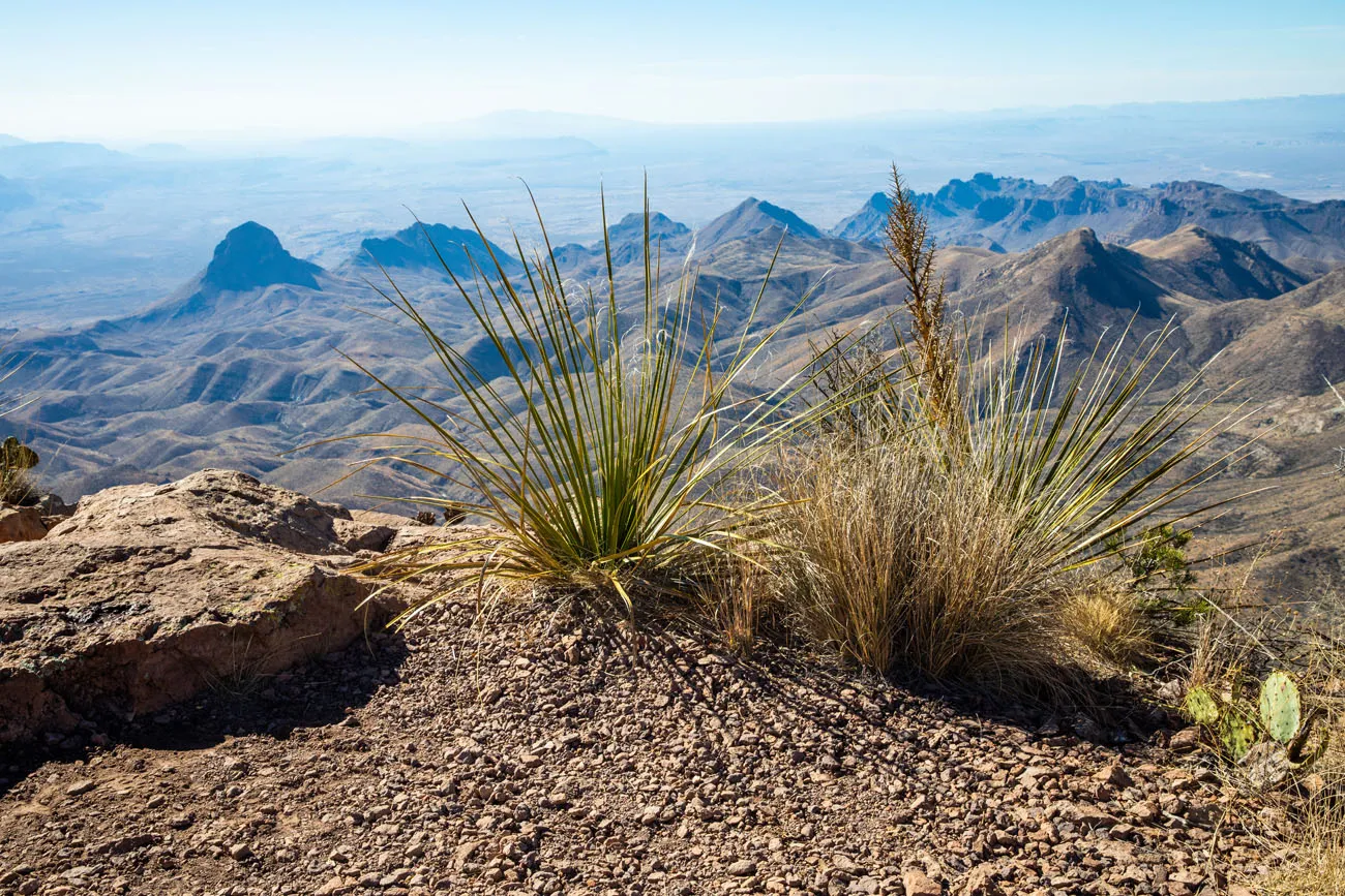 Big Bend in March