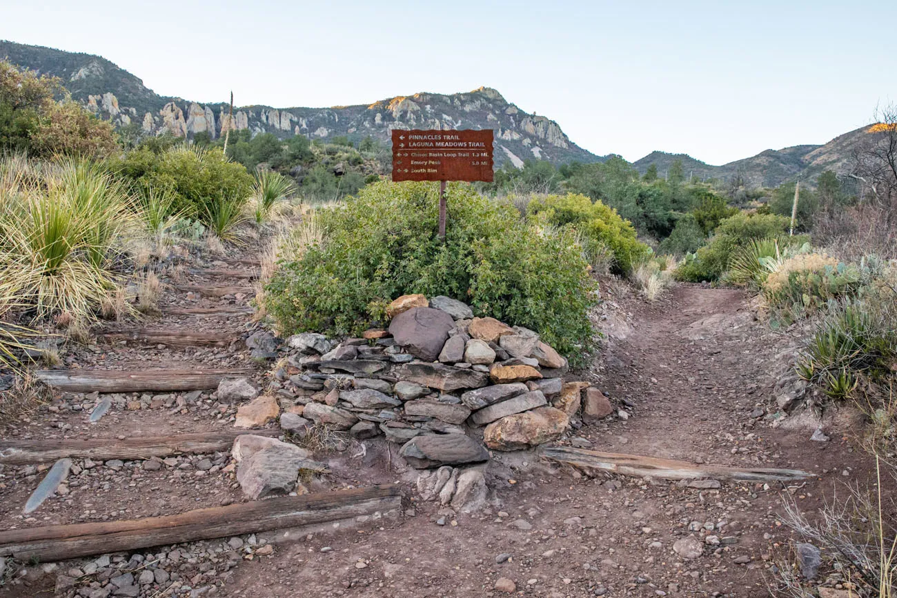 Chisos Basin Loop