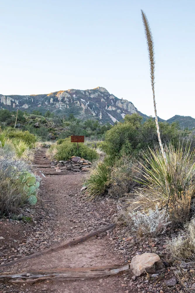 Hiking Trail Big Bend South Rim Trail