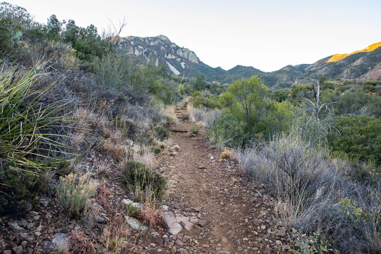 Laguna Meadows Trail