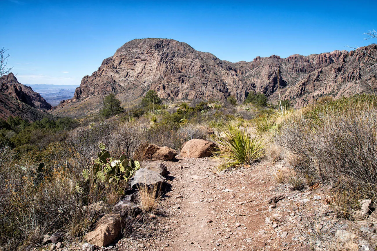 Pinnacles Trail