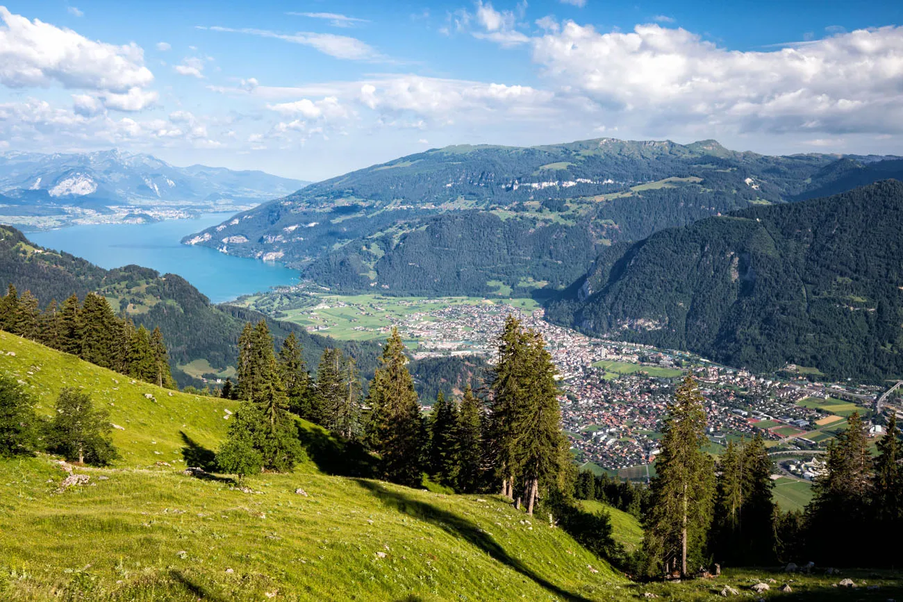 Schynige Platte View