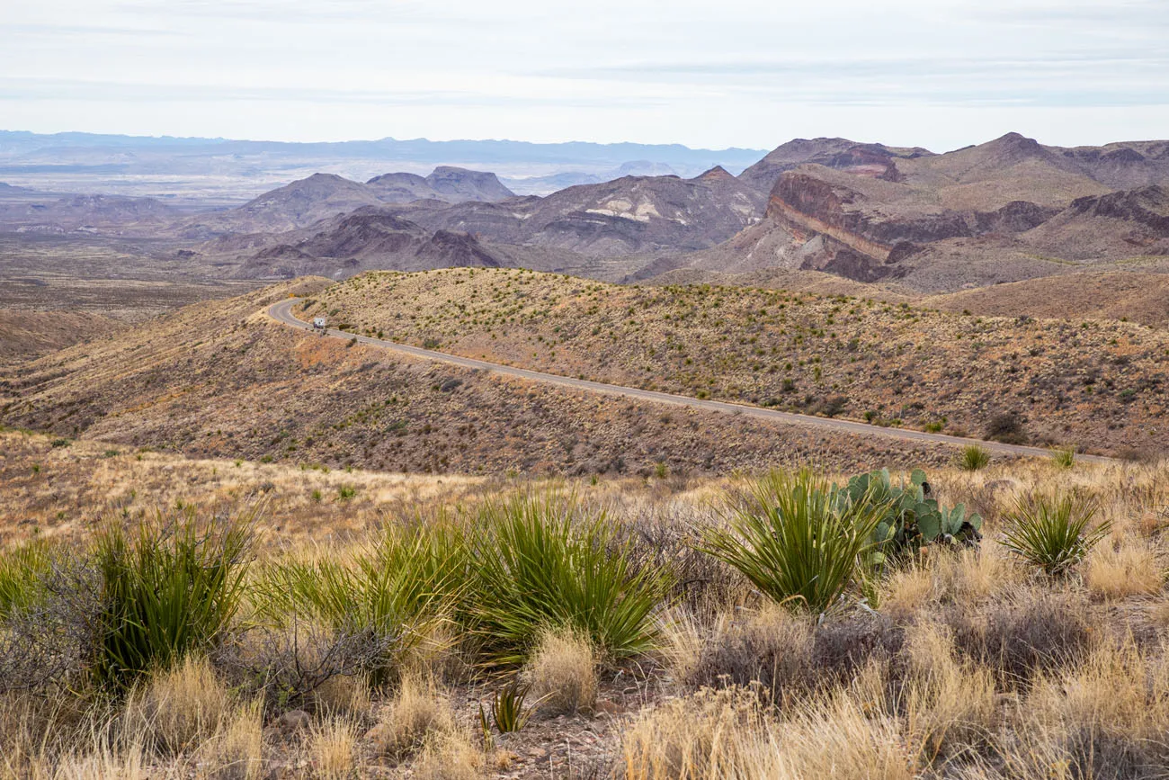 Sotol Vista