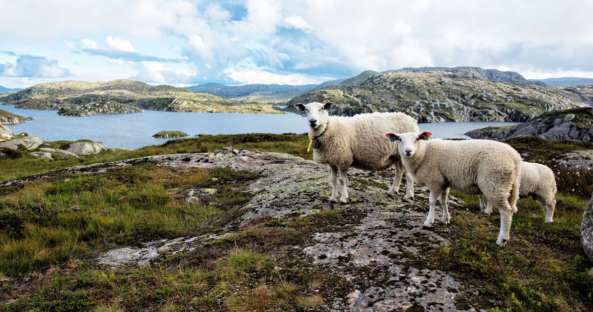 Featured image for “10 Day Norway Itinerary: Summer Road Trip through the Fjord Region”