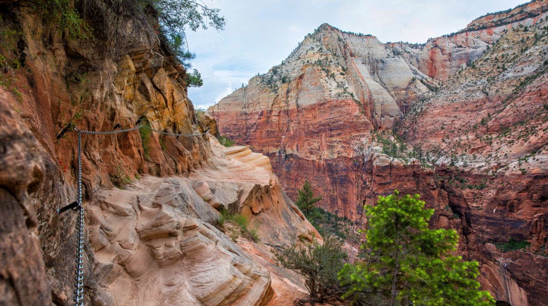 Best Zion Hikes