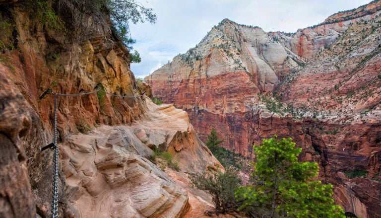 Best Zion Hikes