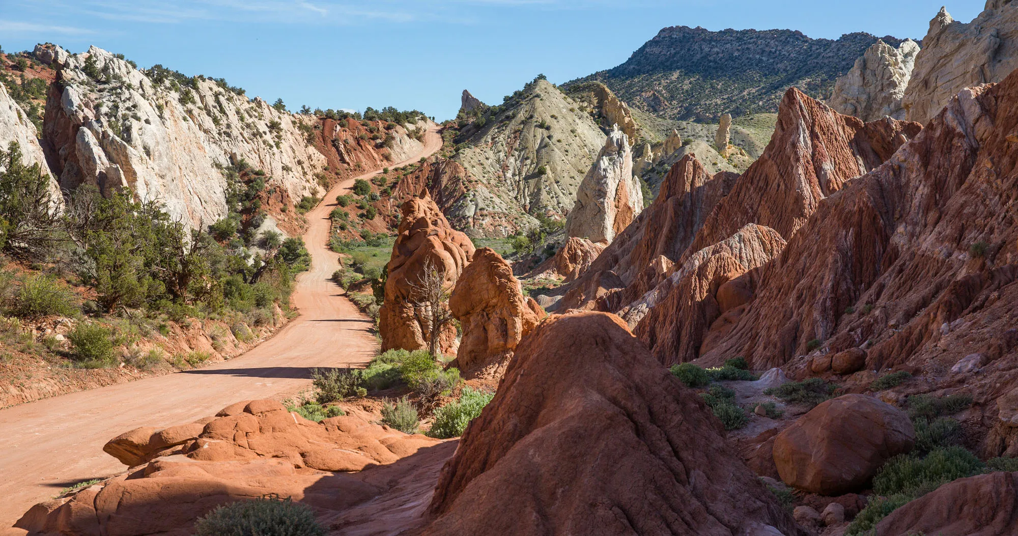 Featured image for “What’s It Like to Drive Cottonwood Canyon Road?”