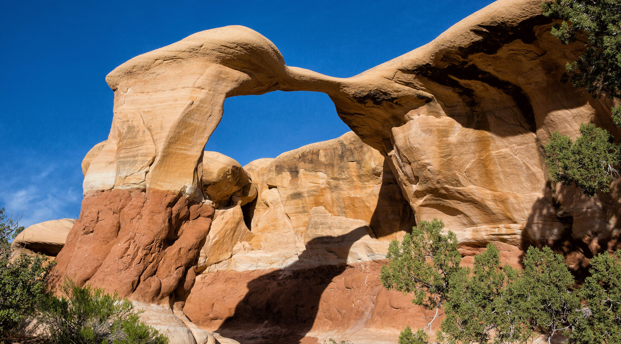 5 Reasons Why You Should Visit Devils Garden in Grand Staircase Escalante Earth Trekkers