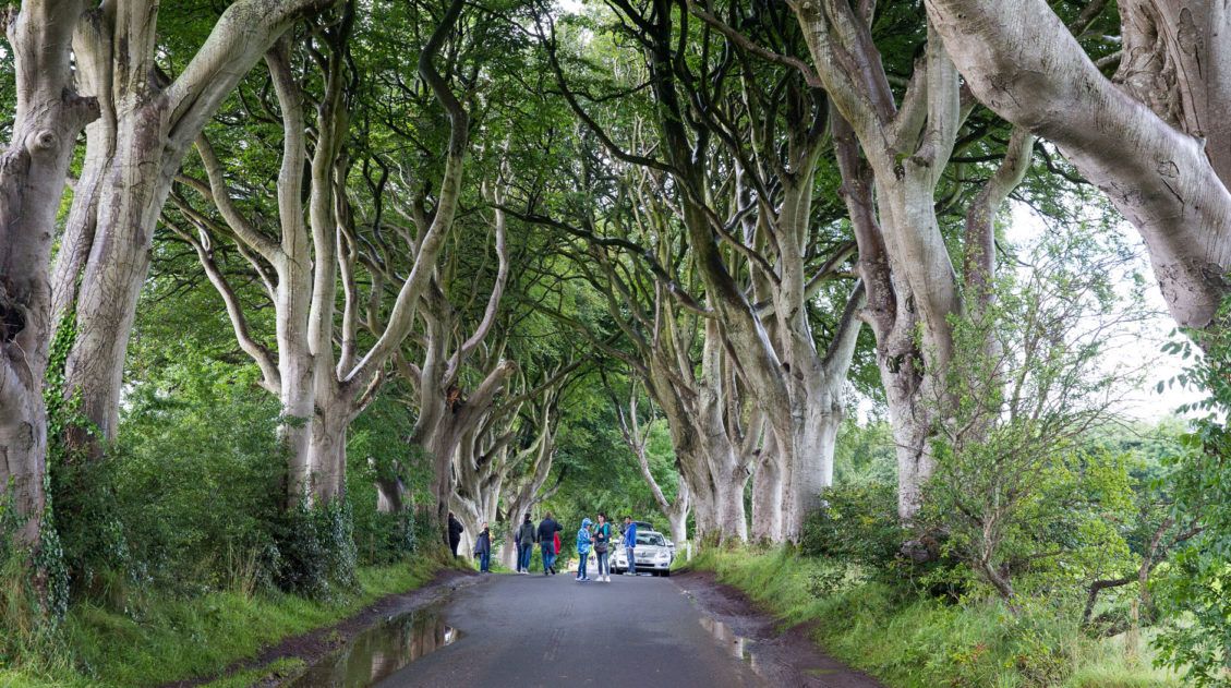 Game of Thrones Ireland