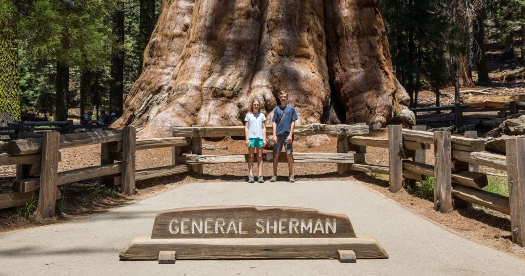 General Sherman Sequoia