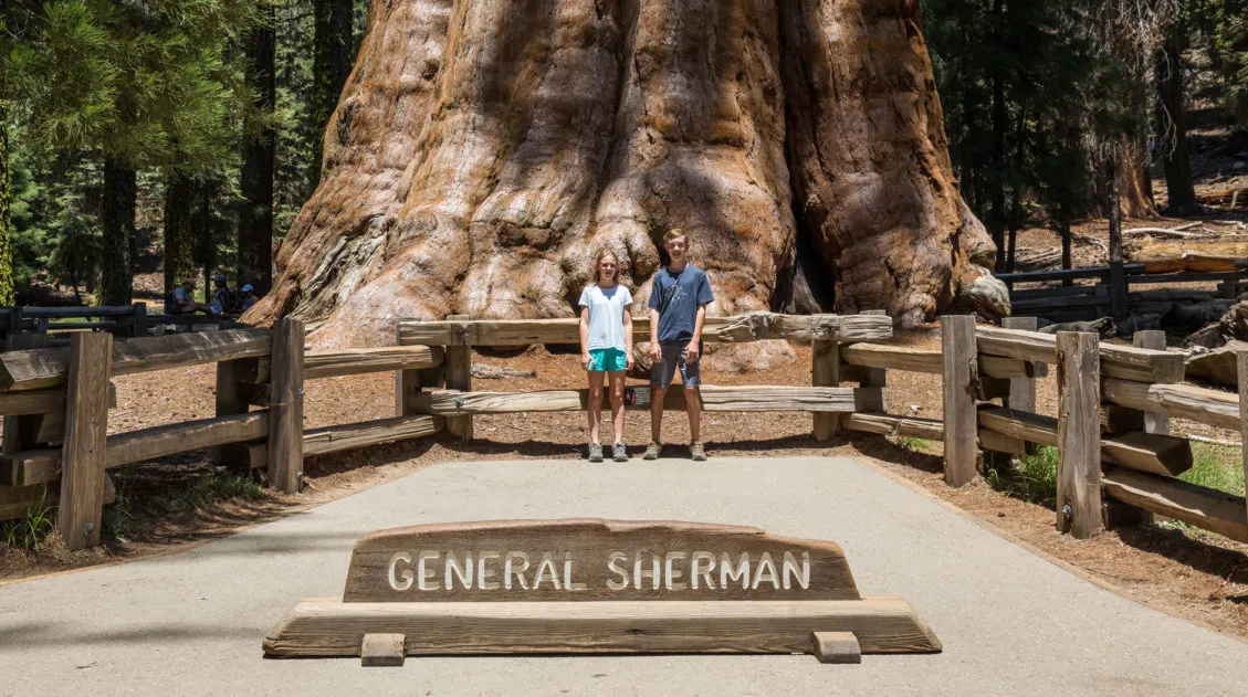 General Sherman Sequoia