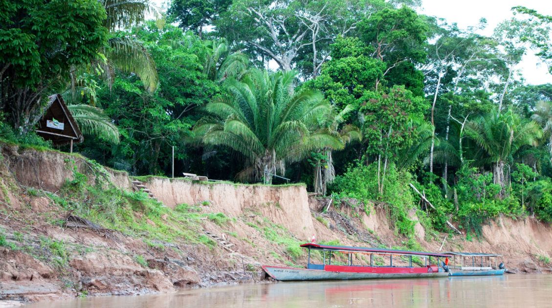 In the Amazon