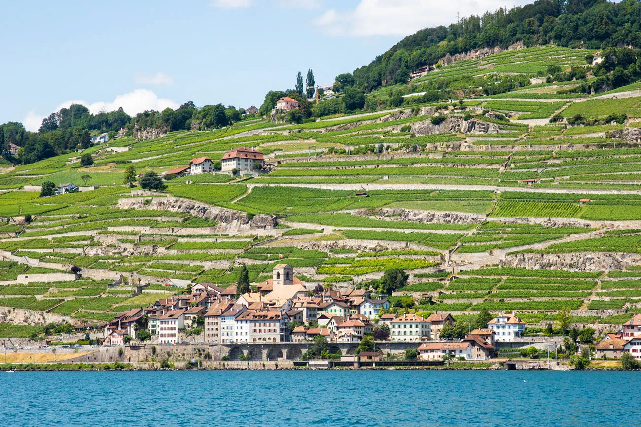 Lavaux Vineyard