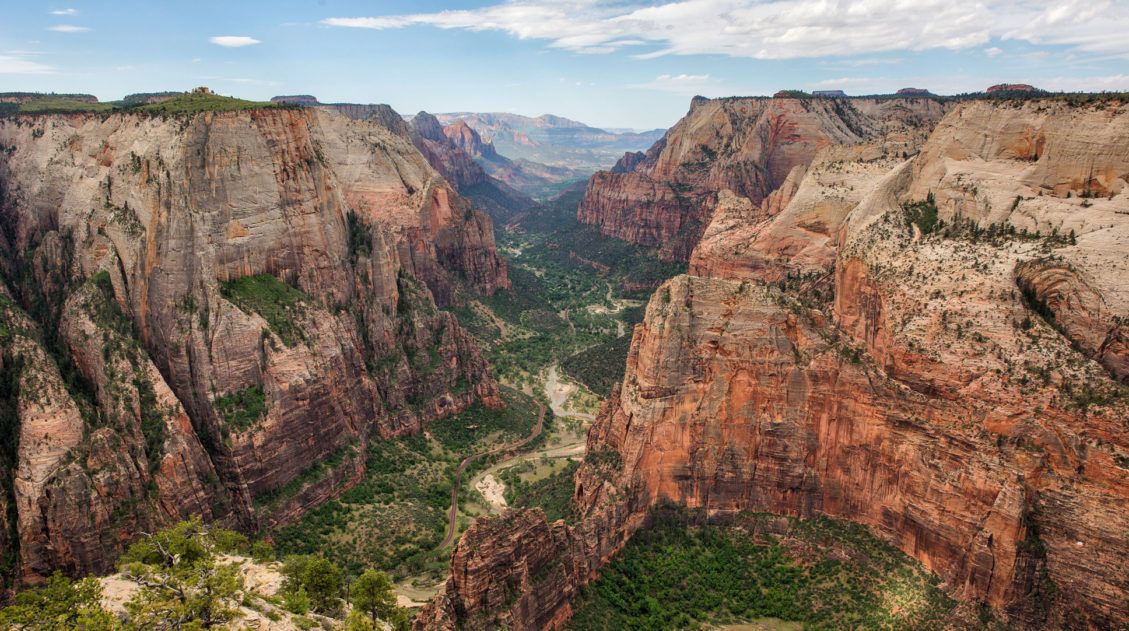 Observation Point Hike