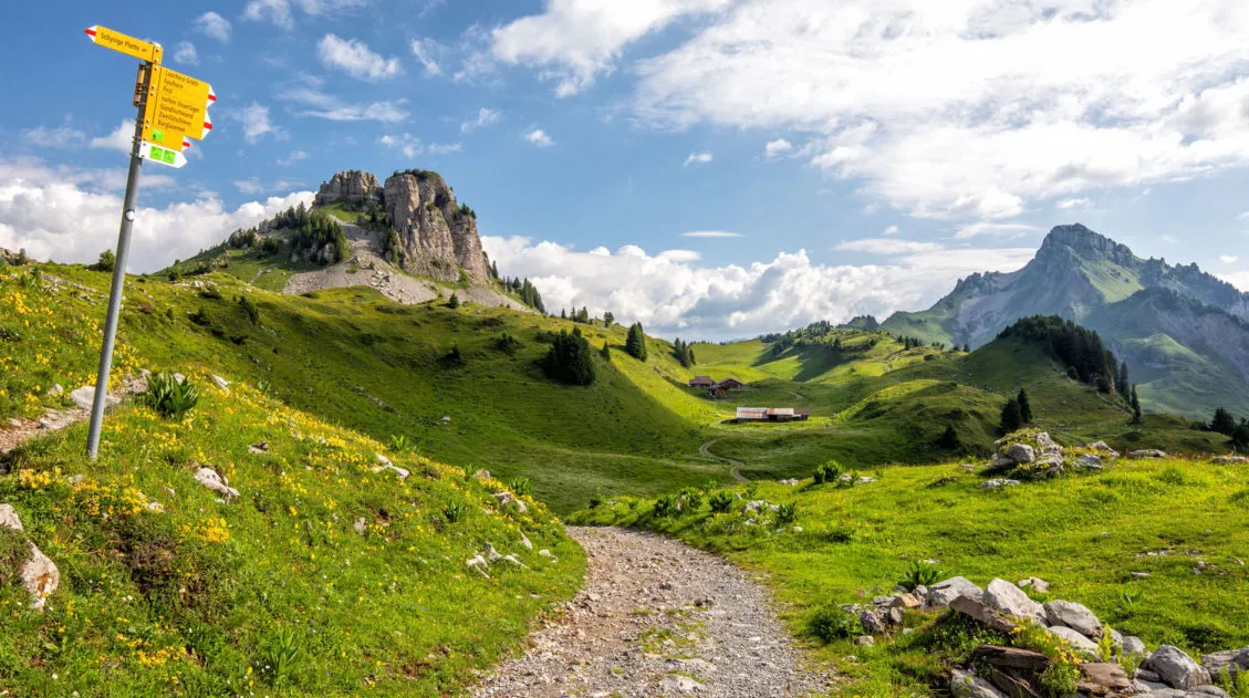 Schynige Platte to Faulhorn to First