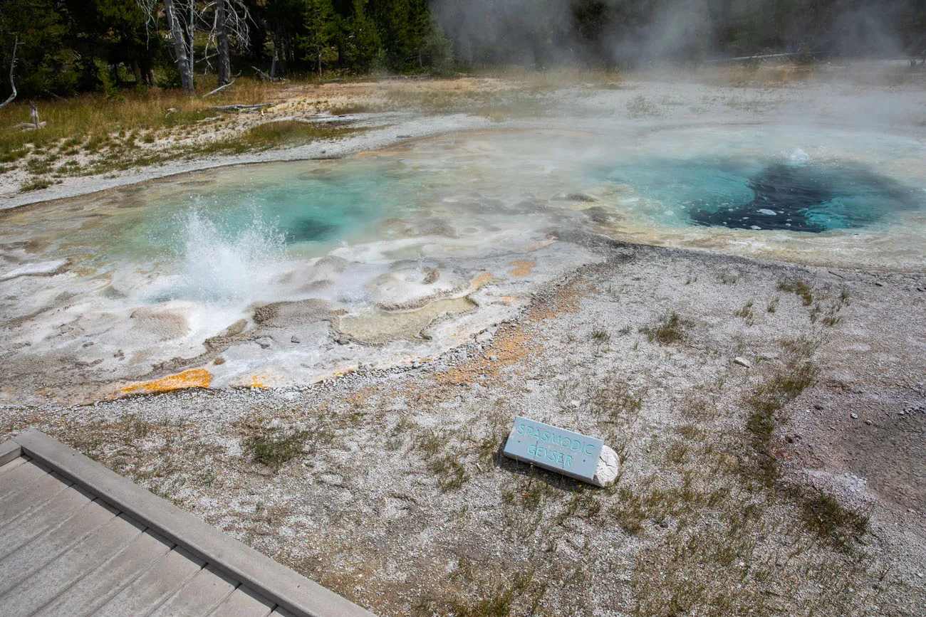 Spasmodic Geyser