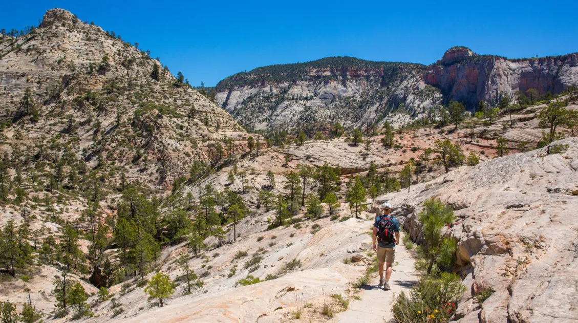 West Rim Trail Zion