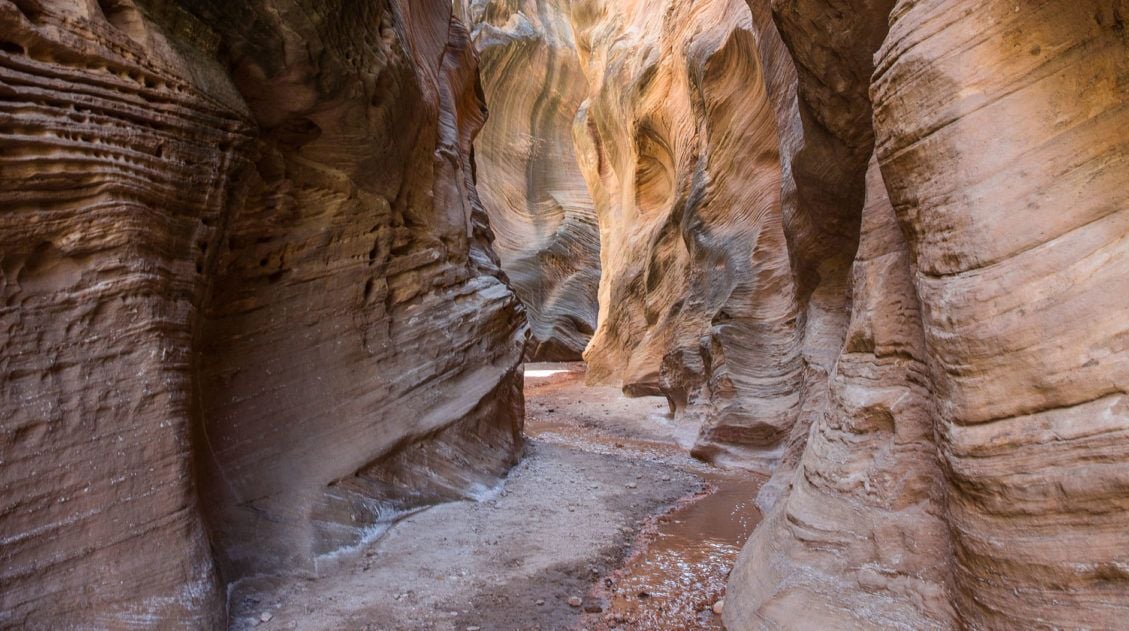 Willis Creek