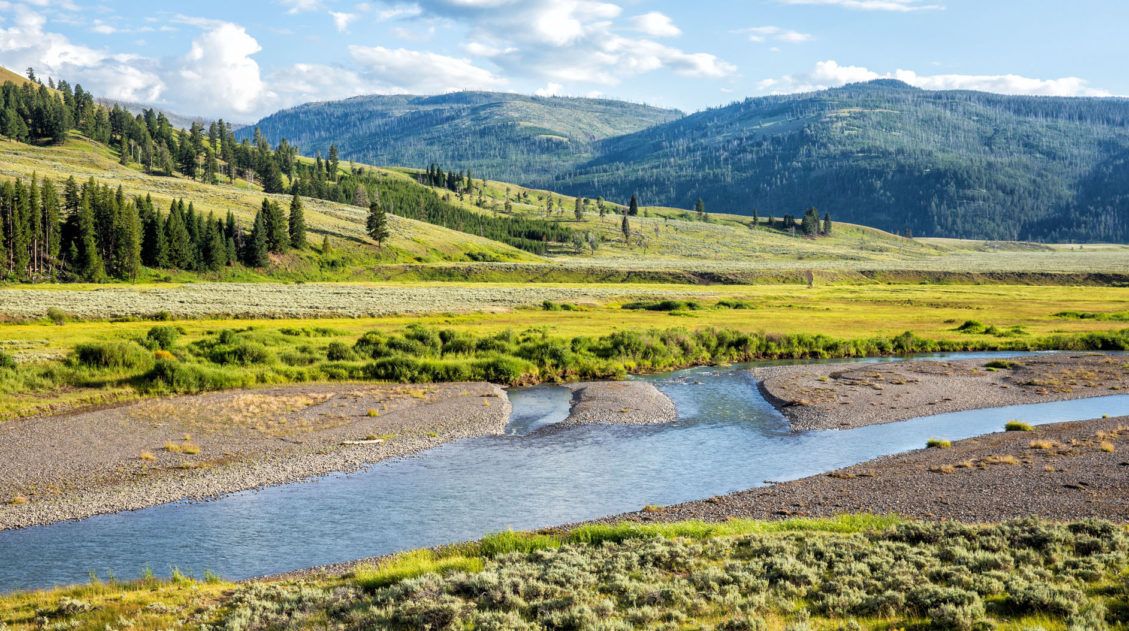 Yellowstone Itinerary