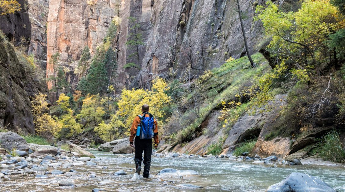 Zion Narrows Guide