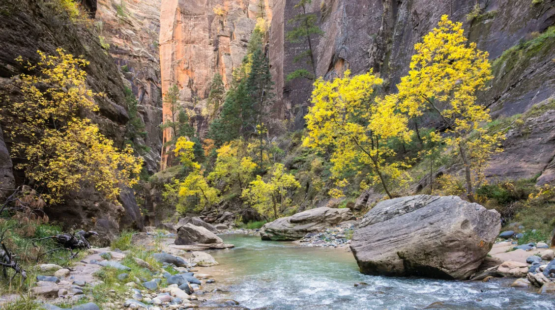 Zion Narrows Photos