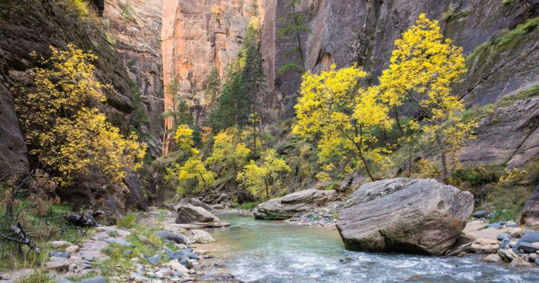 Zion Narrows Photos