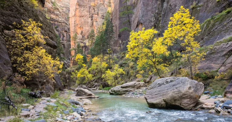 Zion Narrows Photos