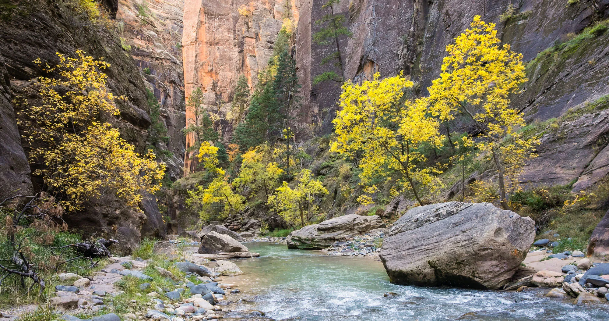 Featured image for “Journey through the Zion Narrows in Photos”