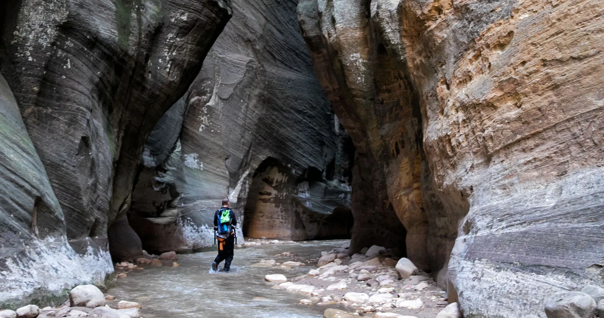 Featured image for “Zion Narrows Bottom-Up vs. Top-Down: Which One Should You Choose?”